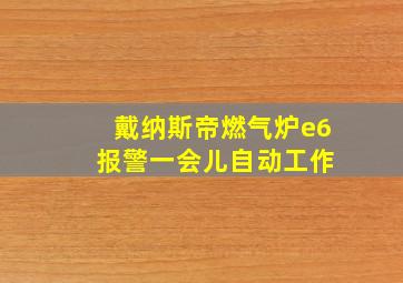 戴纳斯帝燃气炉e6 报警一会儿自动工作